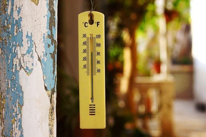 从四次厄尔尼诺看羽绒市场：天气决定不了价格